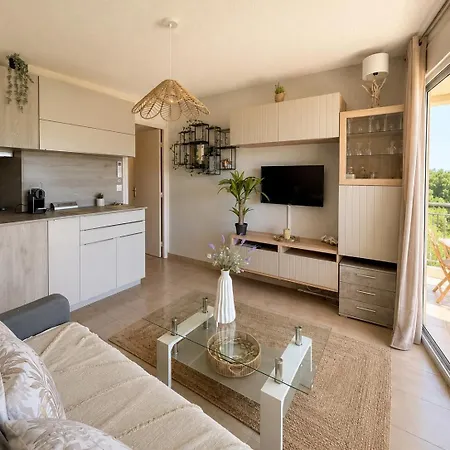 Terrasse Face A La Mer, Proche De Tout,climatise Au Calme